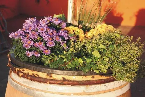 Landgasthof Am Baeumchen 3* Weißenfels